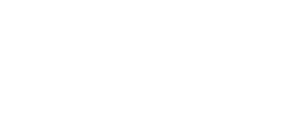 Logo Roland